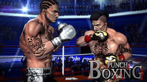 Punch Boxing 3D